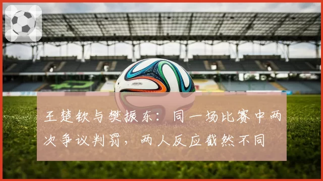 王楚钦与樊振东：同一场比赛中两次争议判罚，两人反应截然不同