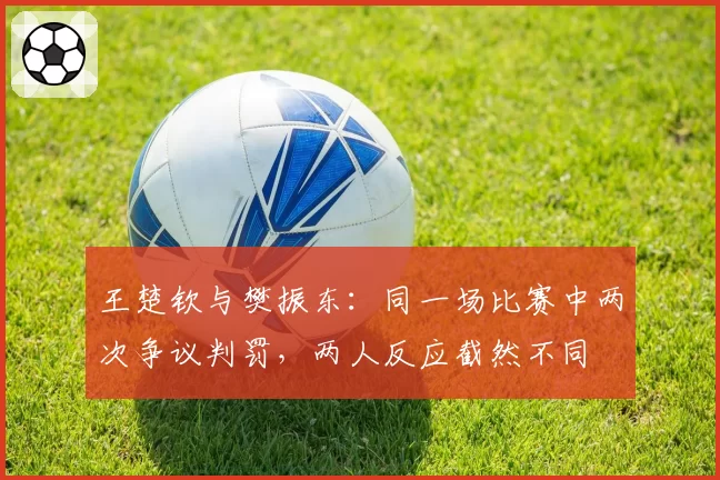 王楚钦与樊振东:同一场比赛中两次争议判罚,两人反应截然不同